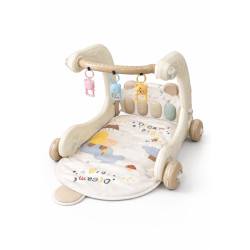 Multifunctional Walker 3 In 1