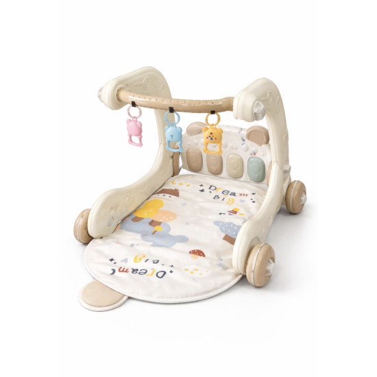 Multifunctional Walker 3 In 1