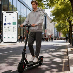 36v Electric Scooter