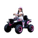 NEL 007 Kids Electric Ride On Quad