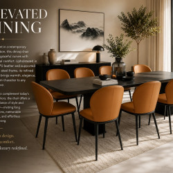 Treviso Dining chair