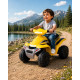 WMT 899 6V Kids Ride On Quad Bike